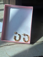 stylish hoop earrings close up