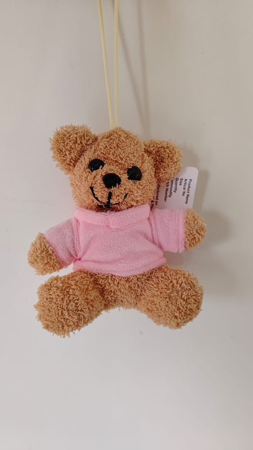 Cute soft teddy bear plush gift for her